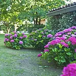 Bed & Breakfast L'ora Sesta *