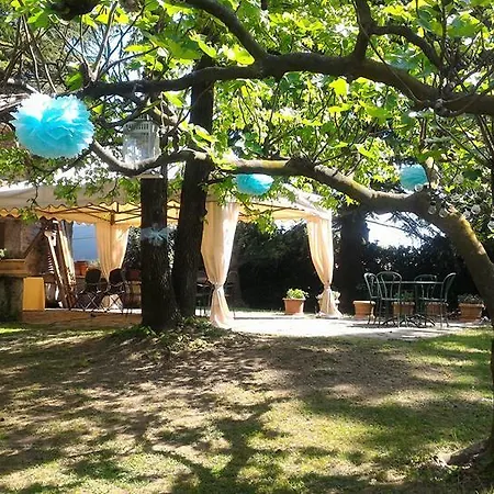 L'ora Sesta Orsenigo