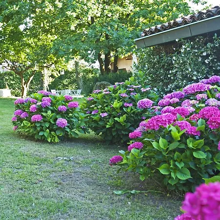 Bed & Breakfast L'ora Sesta *