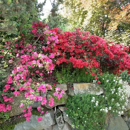 L'ora Sesta Bed & Breakfast *